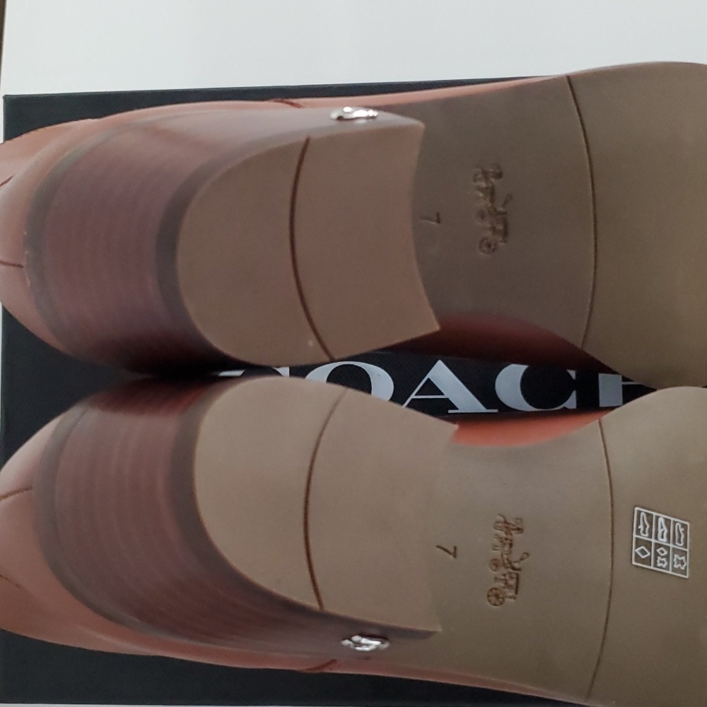 Coach Dannie Leather Ankle Bootie - Picture 13 of 16